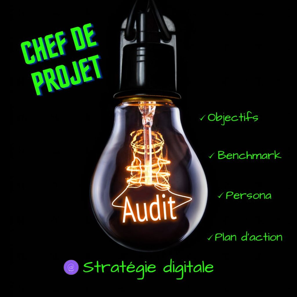 Chef de projet en stratégie digitale