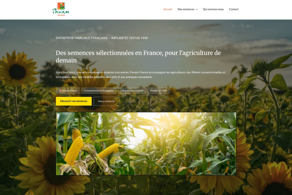 Site Panam France - refonte WordPress sécurisation Béziers