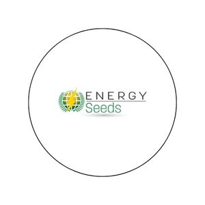 Energyseeds
